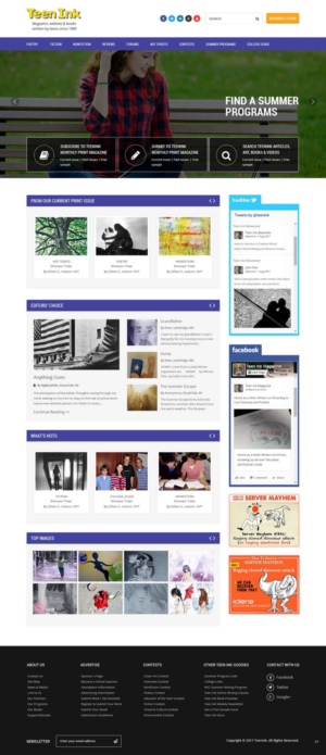 Web Design by pb for Unwired Web Solutions | Design: #14258269