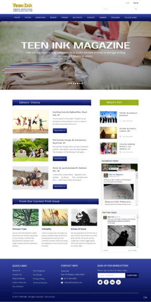 Web Design by pb for Unwired Web Solutions | Design: #14258271