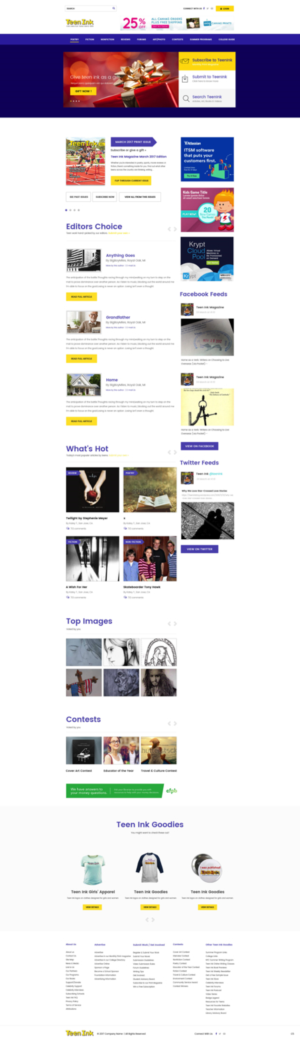 Web Design by pb for Unwired Web Solutions | Design: #14258280