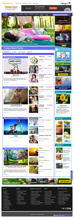 Web Design by Spiders Arena LLC