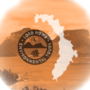 T-shirt Design by jansen132235 for Little Speck of Blue | Design: #14462623