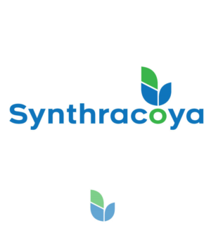 Logo Design by Salekin