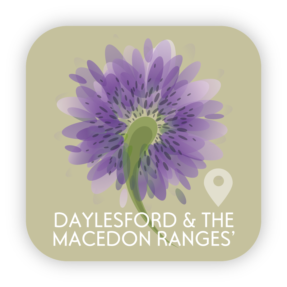 Icon Design by OKI Design Studio for this project | Design #2640581