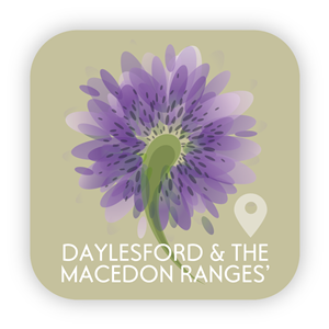 Design Icône par OKI Design Studio pour ce projet | Design : #2640581