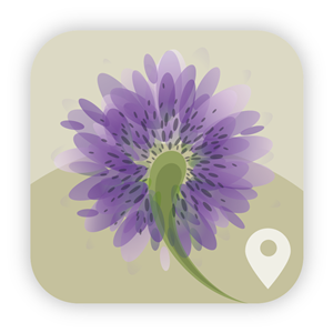 Design Icône par OKI Design Studio pour ce projet | Design : #2640583