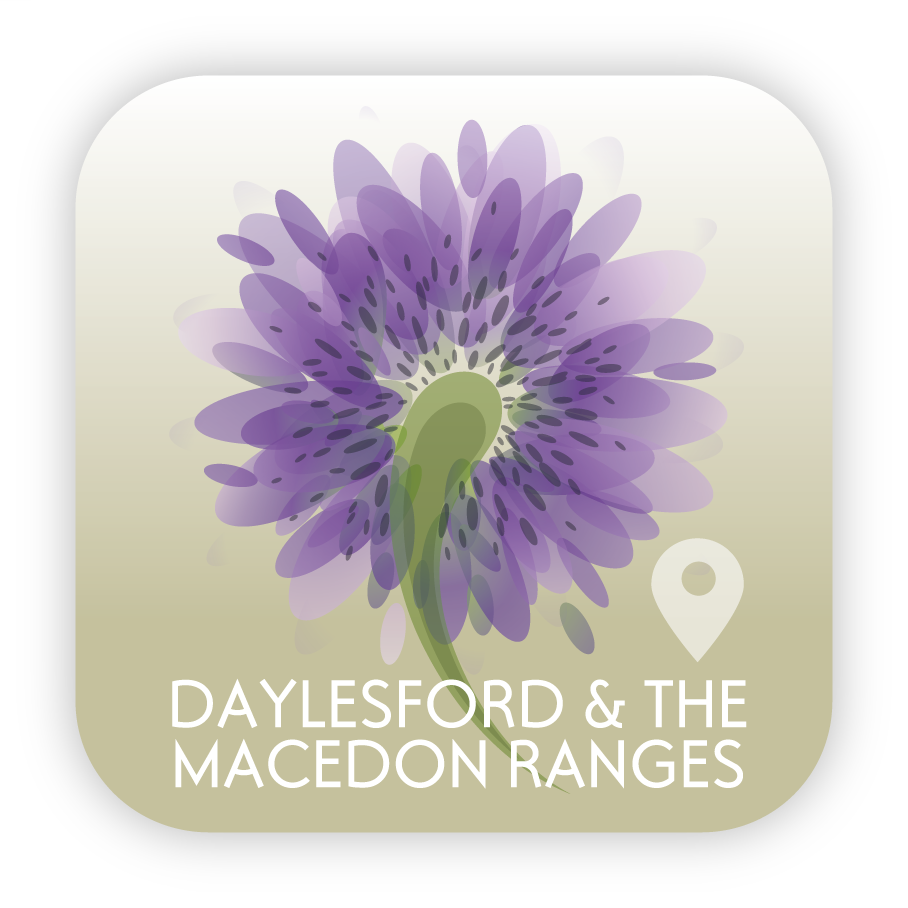 Design Icône par OKI Design Studio pour ce projet | Design #2659997