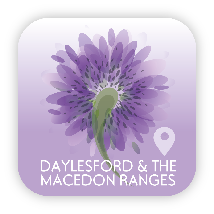 Icon Design by OKI Design Studio for this project | Design #2660000