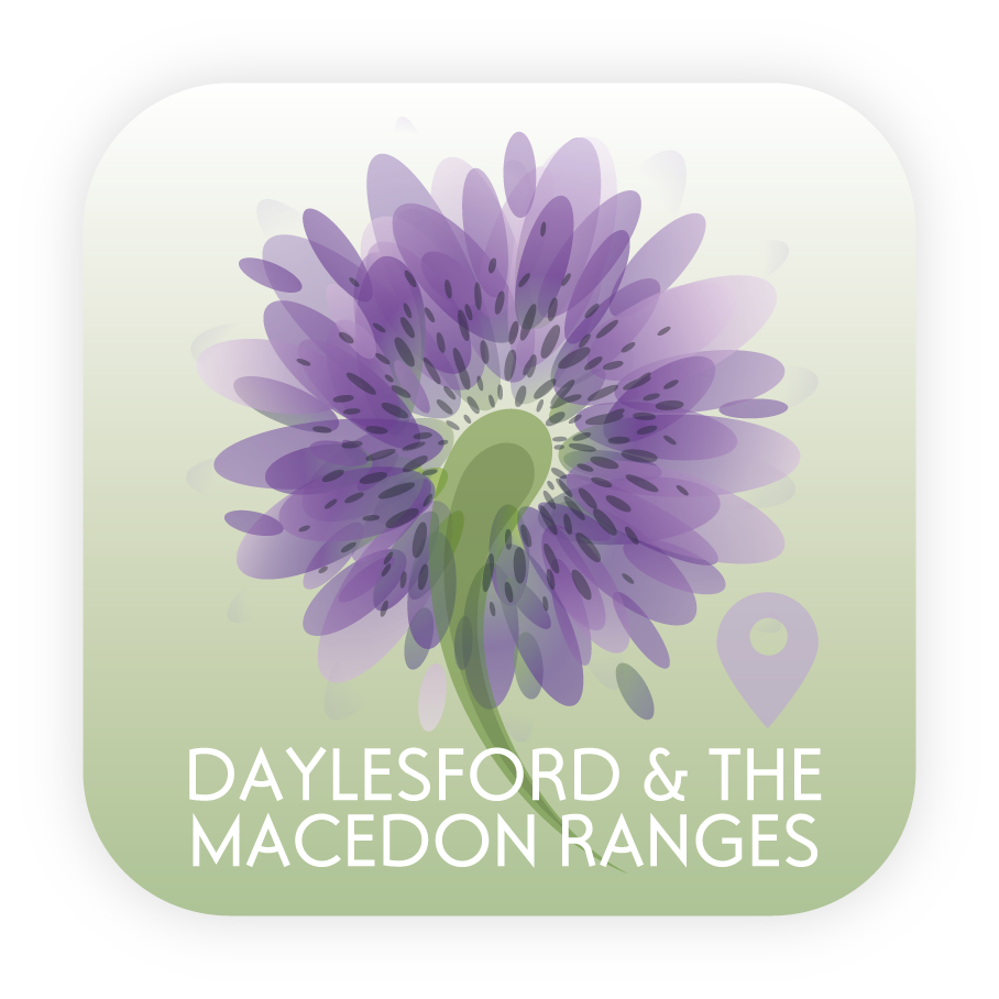 Design Icône par OKI Design Studio pour ce projet | Design #2660009