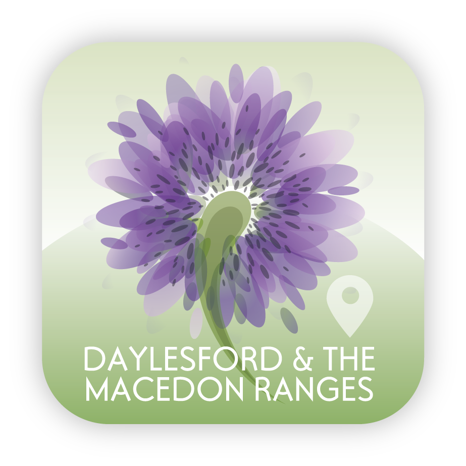 Icon Design by OKI Design Studio for this project | Design #2660109