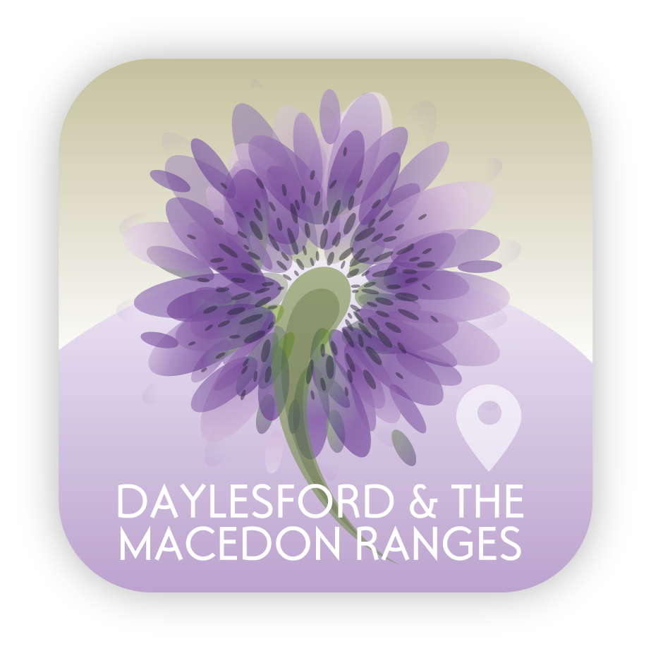 Design Icône par OKI Design Studio pour ce projet | Design #2660113