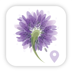 Design Icône par OKI Design Studio pour ce projet | Design : #2720109