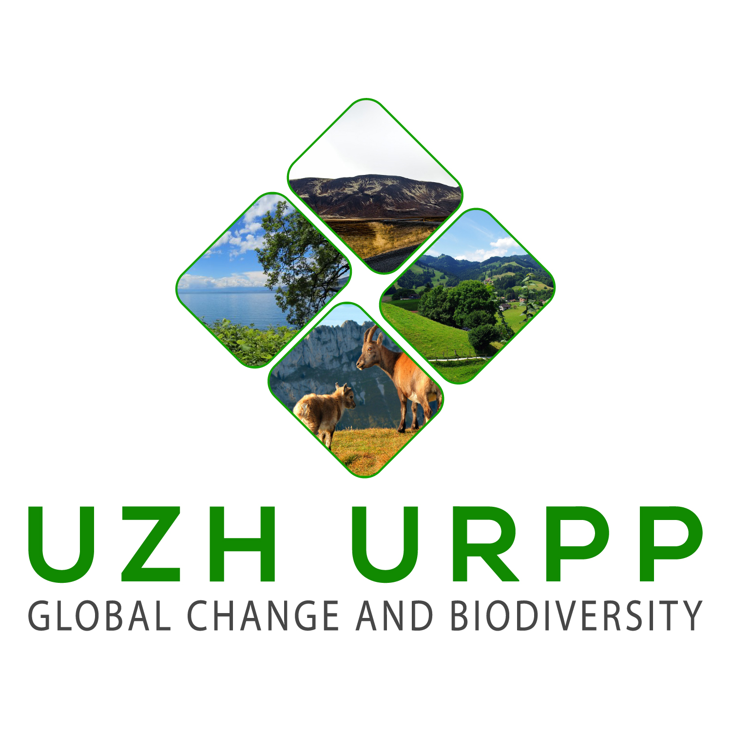 Graphic Design by syed2024 for University of Zurich | Design #14414487