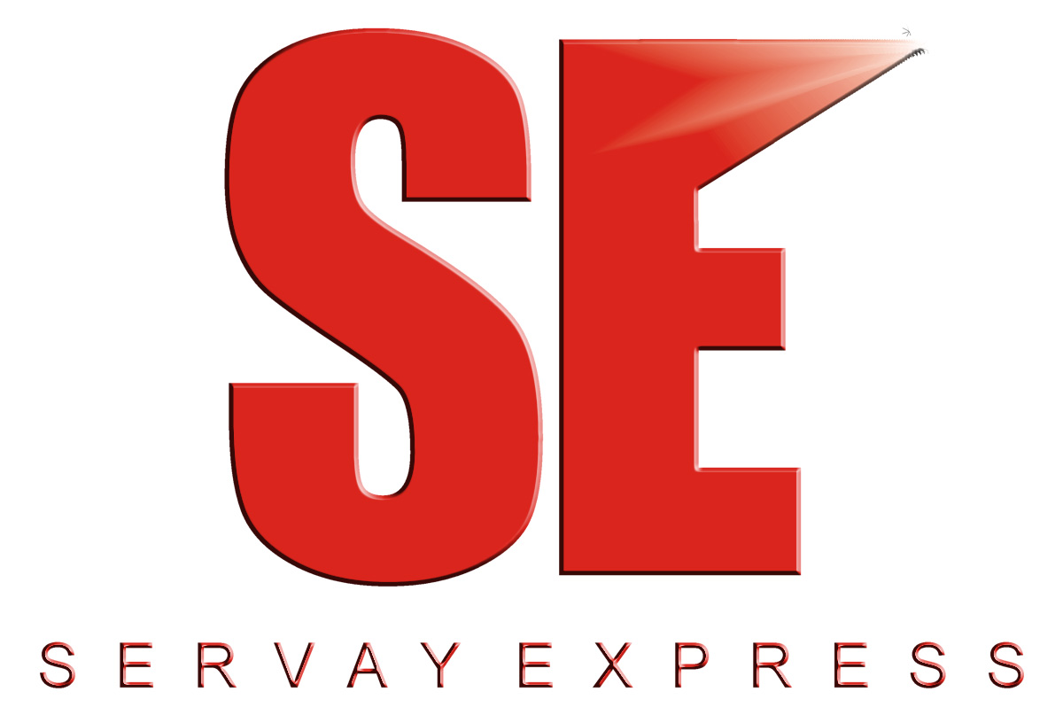 Logo Design by tarmisitahir10 for E-Mix Pty Ltd | Design #14551727