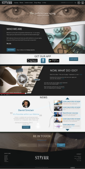 Web Design by quachystuff