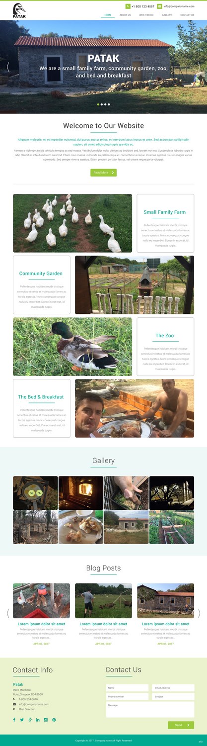 Web Design by pb for this project | Design: #14293126
