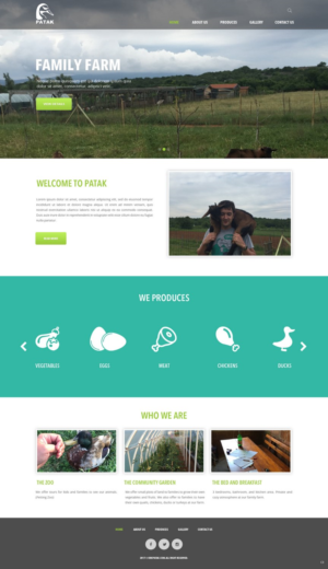 Web Design by pb for this project | Design: #14293127