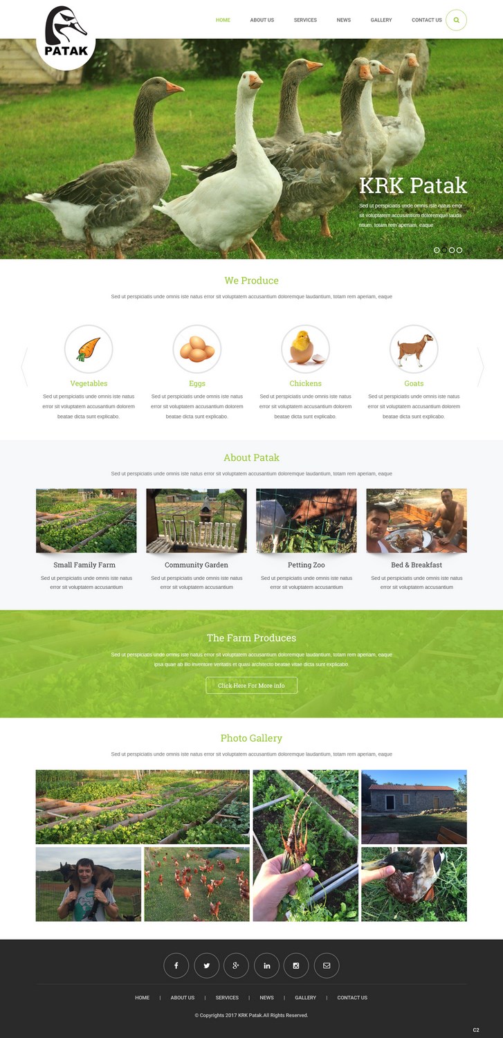 Web Design by pb for this project | Design #14293129