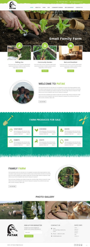Web Design by pb for this project | Design: #14297422