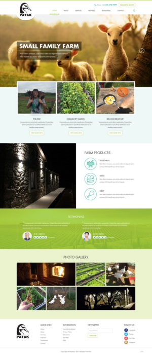 Web Design by pb for this project | Design: #14297423