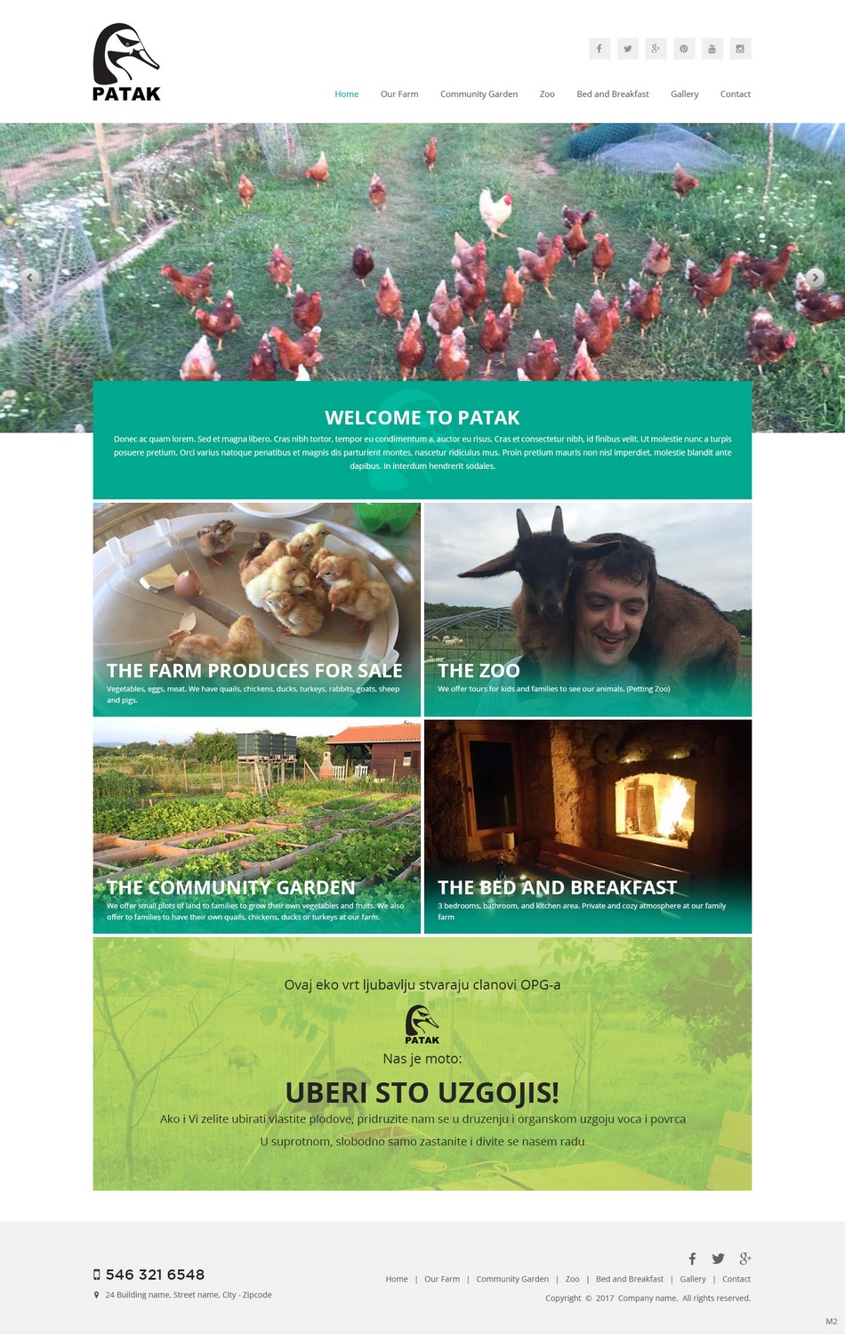 Web Design by pb for this project | Design #14297424