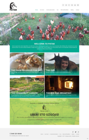 Web Design by pb for this project | Design: #14297424