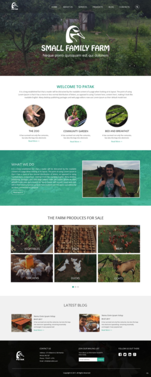 Web Design by pb for this project | Design: #14311437
