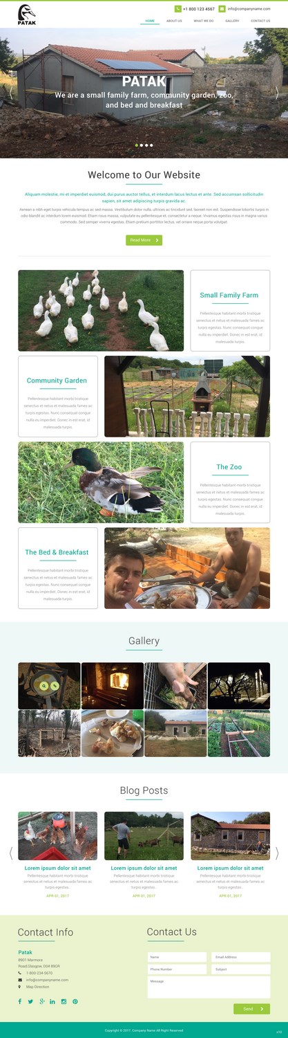 Web Design by pb for this project | Design #14327733