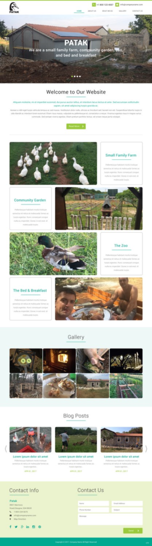 Web Design by pb for this project | Design: #14327733