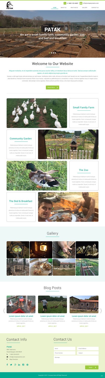Web Design by pb for this project | Design #14327735