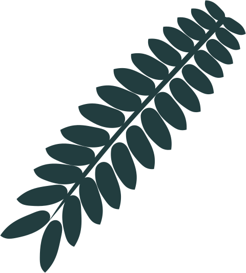 Design Graphique par design.bb pour ce projet | Design #14720062