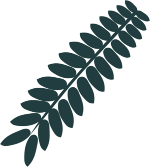 Design Graphique par design.bb pour ce projet | Design : #14720062