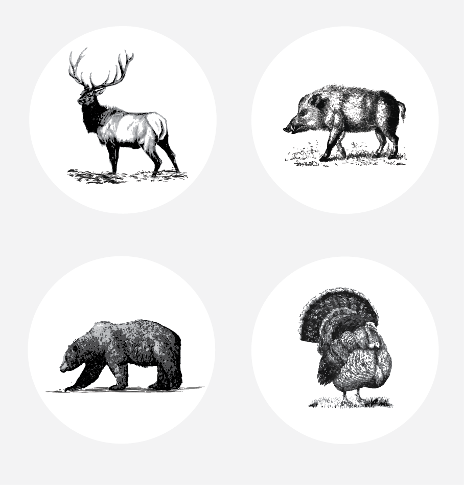 Illustration Design by alex989 for this project | Design: #14364981