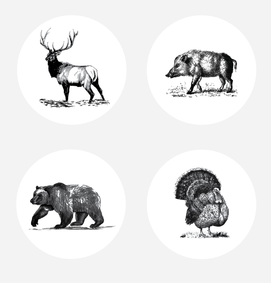 Illustration Design by alex989 for this project | Design #14366911