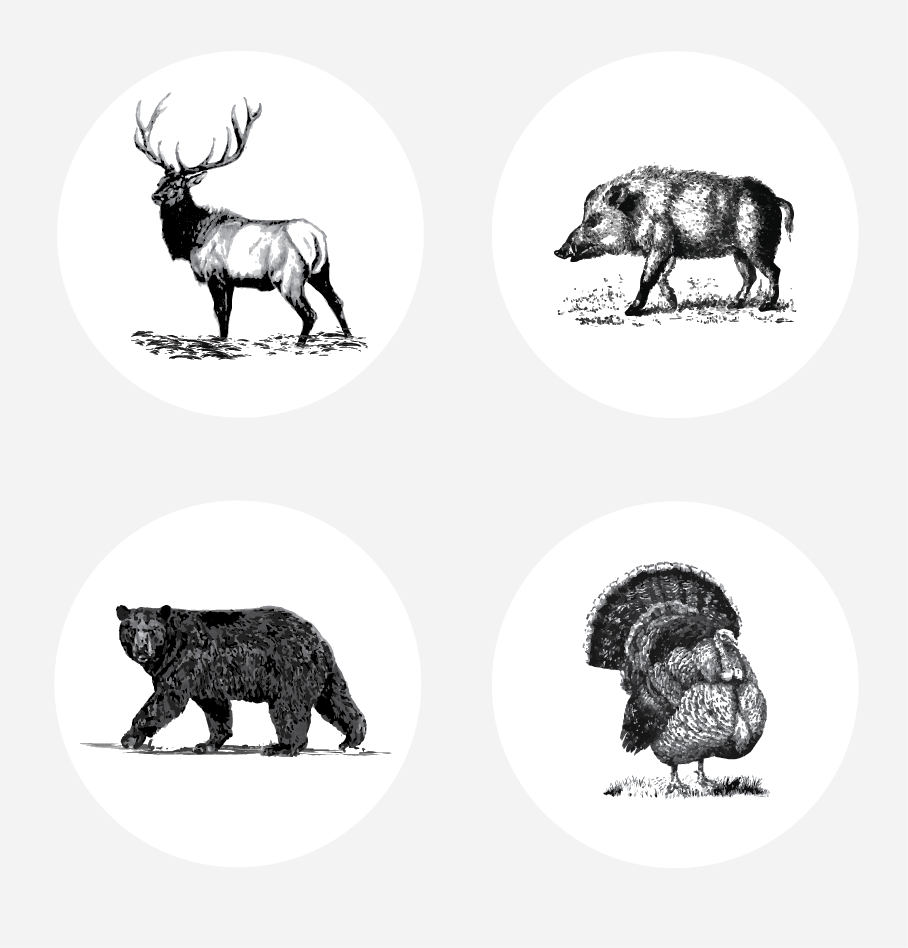 Illustration Design by alex989 for this project | Design #14382450