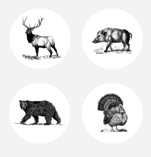 Illustration Design by alex989 for this project | Design: #14382450
