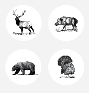 Illustration Design by alex989 for this project | Design: #14391146