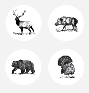 Illustration Design by alex989 for this project | Design: #14397007