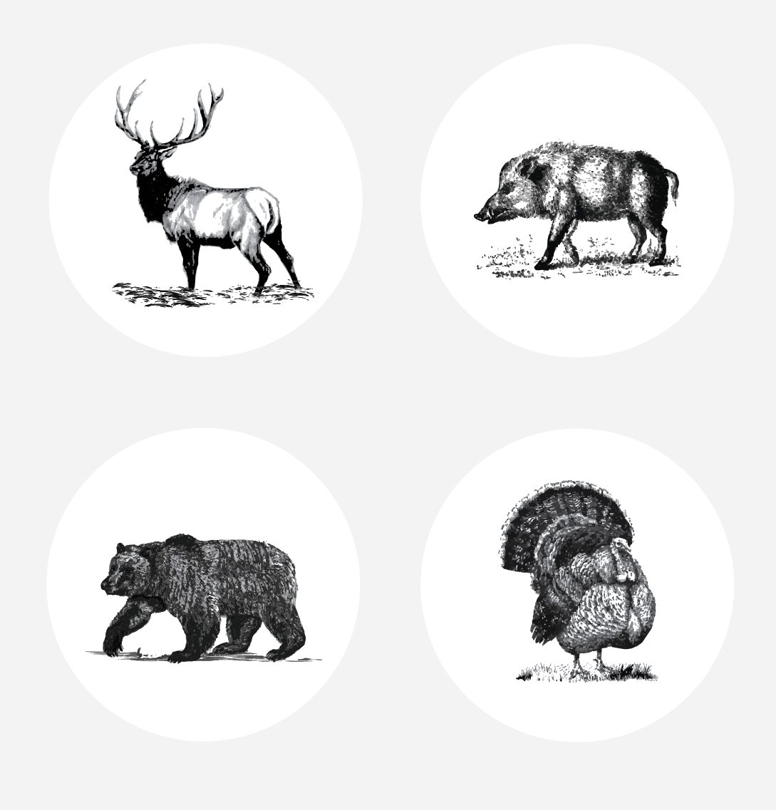 Illustration Design by alex989 for this project | Design #14401037