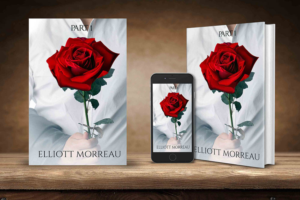 Valentine book cover. | Diseño de portada de libro por jshan