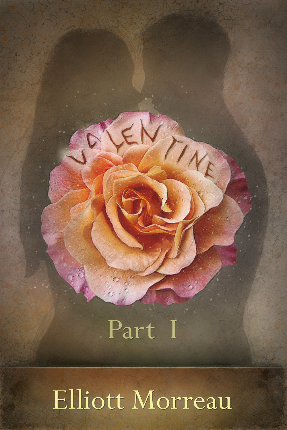 Book Cover Design by Wally_F for BR0TIES | Design #14336870