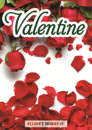 Book Cover Design by HESENLI.GRAPHIC for BR0TIES | Design: #14385404