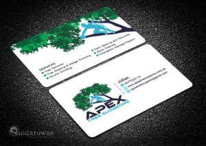 Business Card Design by Sandaruwan