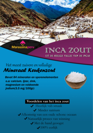 Design de Flyer par Ashish pour ce projet | Design : #14307623
