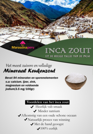 Design de Flyer par Ashish pour ce projet | Design : #14312339