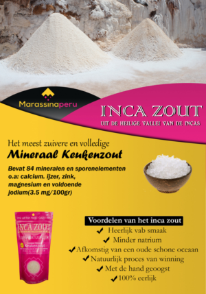 Design de Flyer par Ashish pour ce projet | Design : #14319341