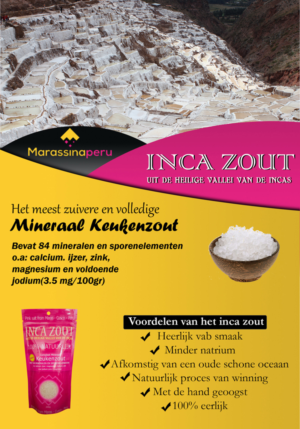 Design de Flyer par Ashish pour ce projet | Design : #14319342