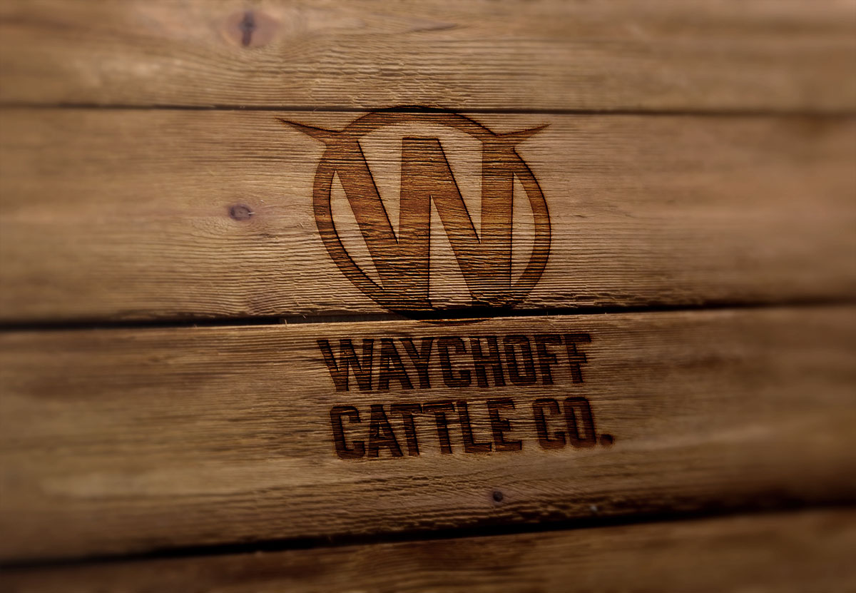 Logo-Design von Sergio Coelho für dieses Projekt | Design #14439116