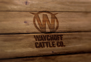 Logo-Design von Sergio Coelho für dieses Projekt | Design: #14439116