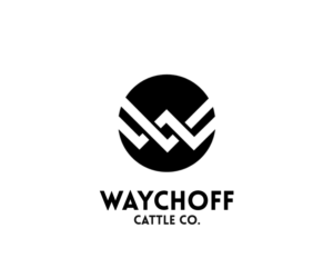 Logo-Design von Shank für dieses Projekt | Design: #14416575