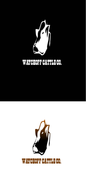 Logo Design by designershahzaib321
